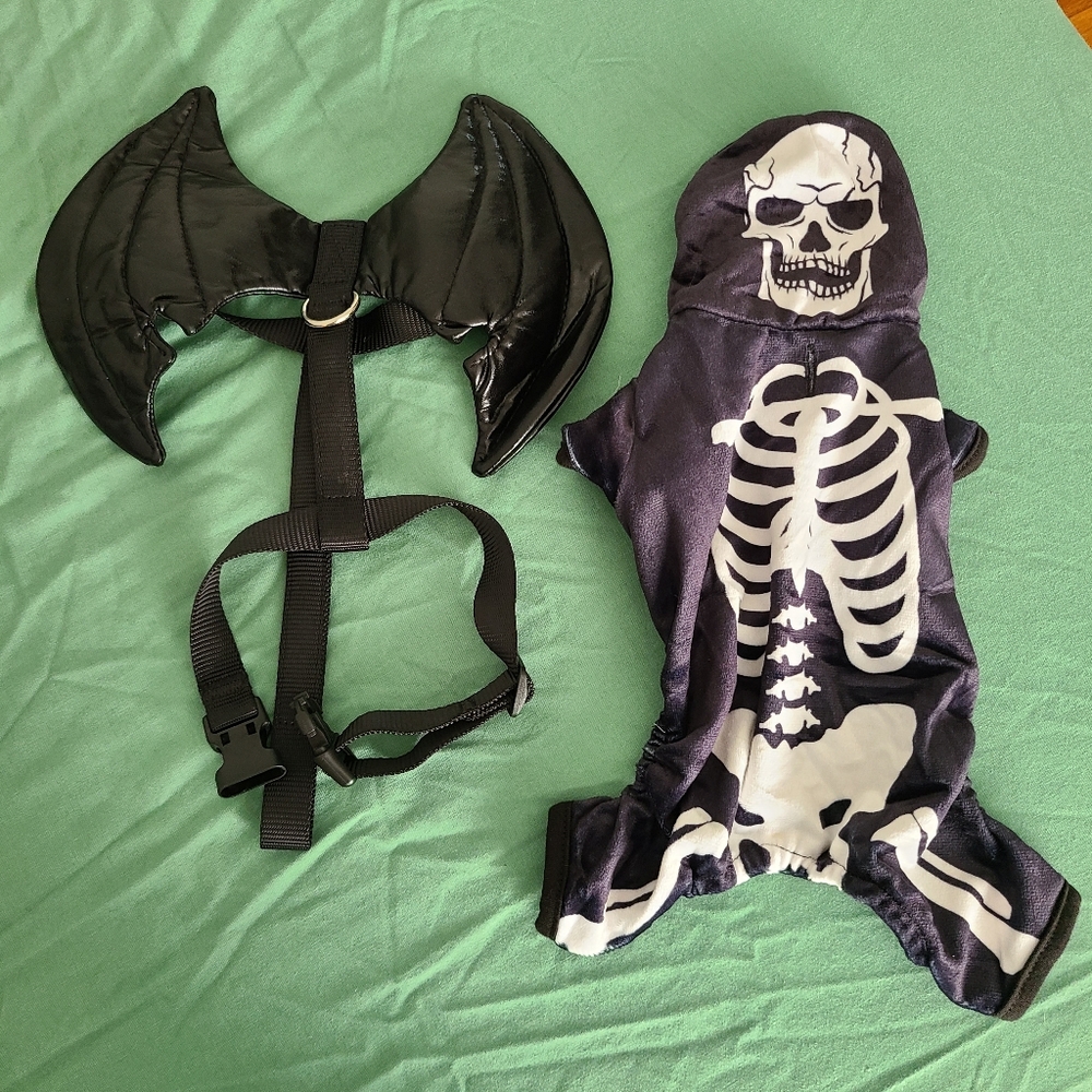 Small pet skeleton and bat wings costume